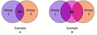 Bridges or Barriers? Conceptualization of the Role of Multiple Identity Gateway Groups in Intergroup Relations